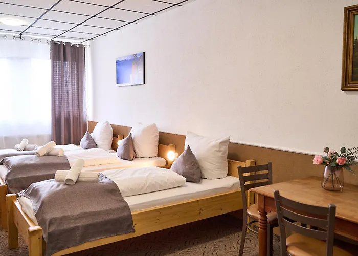 Maximo Hotell 2*